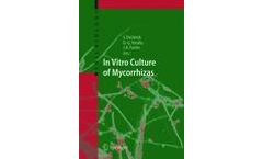 In Vitro Culture of Mycorrhizas