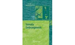 Somatic Embryogenesis