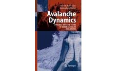 Avalanche Dynamics