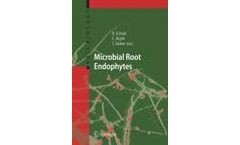 Microbial Root Endophytes
