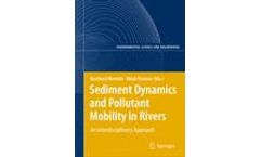Sediment Dynamics and Pollutant Mobility in Rivers