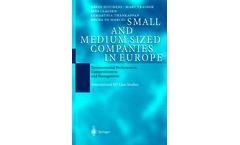 Small and Medium Sized Companies in Europe