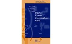 Plasma Kinetics in Atmospheric Gases