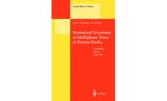 Numerical Treatment of Multiphase Flows in Porous Media