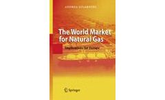 The World Market for Natural Gas