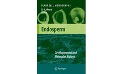 Endosperm