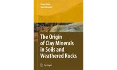 The Origin of Clay Minerals in Soils and Weathered Rocks