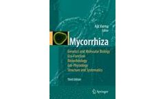 Mycorrhiza
