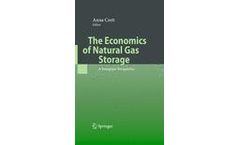 The Economics of Natural Gas Storage