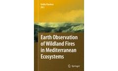 Earth Observation of Wildland Fires in Mediterranean Ecosystems