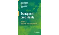 Transgenic Crop Plants
