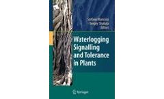 Waterlogging Signalling and Tolerance in Plants