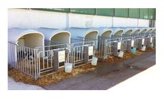 Loda - Boxes for Calves