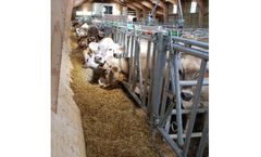 Albouy - Mechanized Cattle Troughs for Stabulation