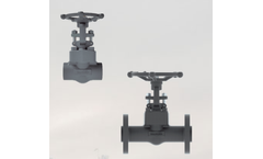 Walworth - Forced Steel Gate Valves