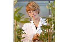 R&D on Green Solutions