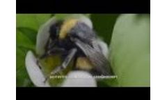 Biobest Activities - Novelties 2015 - Video