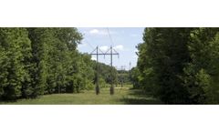 Tree Trimmers for Utility Right of Way Maintenance