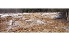 Tree Trimmers for Land Clearing & Site Prep