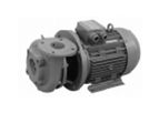 Model PJM - Electric Pumps