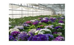 Commerical Greenhouse