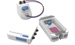 CondoCell - Luxury Accommodation for Cell