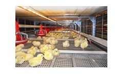 STRATA - Model CT-2569/201501 - Broiler Colony System