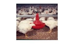 Chore-Time - Model H2 - Broiler Feeder