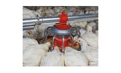 Chore-Time - Broiler Feeding System