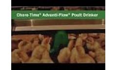 Advanti-Flow Poult Drinker - Video