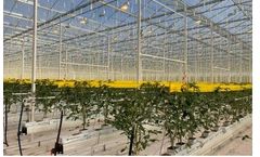 VEK - Commercial Production Services