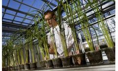 VEK - Research & Development Services