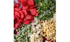 Fruits & Vegetable Dehydration Plant