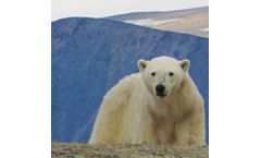 GHG Management Services