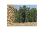 Pelletization of Wood