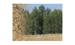 Pelletization of Wood