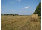 Straw Pelletizing