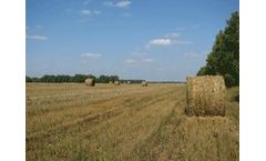Straw Pelletizing