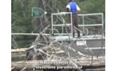 Electrofishing Boat Demo Halltech Aquatic Research - Video