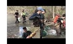 Electrofishing Canastota Creek (Environmental Biology Program at Cazenovia College) - Video