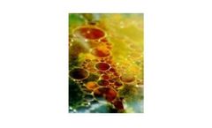 Fatty (aliphatic) Wastewater Services