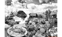 Combi Gas - Biogas Plant