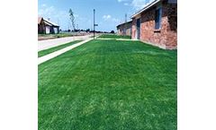 Hydro-Sprigging