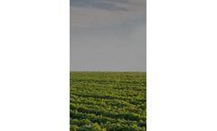 Environmental Solutions for Agriculture