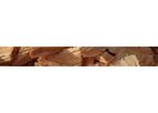 Cogent Fibre - Wood Chips - Pine Softwood Chips