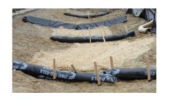 Maj - Erosion Eels & Triangular Silt Dike