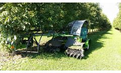 Sicma - Model B411 Intensive - Harvester with trunk shaker for walnut, almond and other nuts