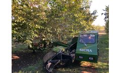 Sicma - Model N3 - Harvester with trunk shaker for walnuts, almonds and other nuts
