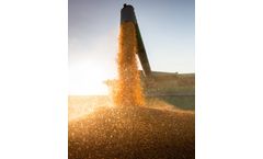 Grain Marketing Services