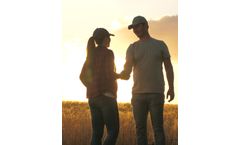 Consultations Services